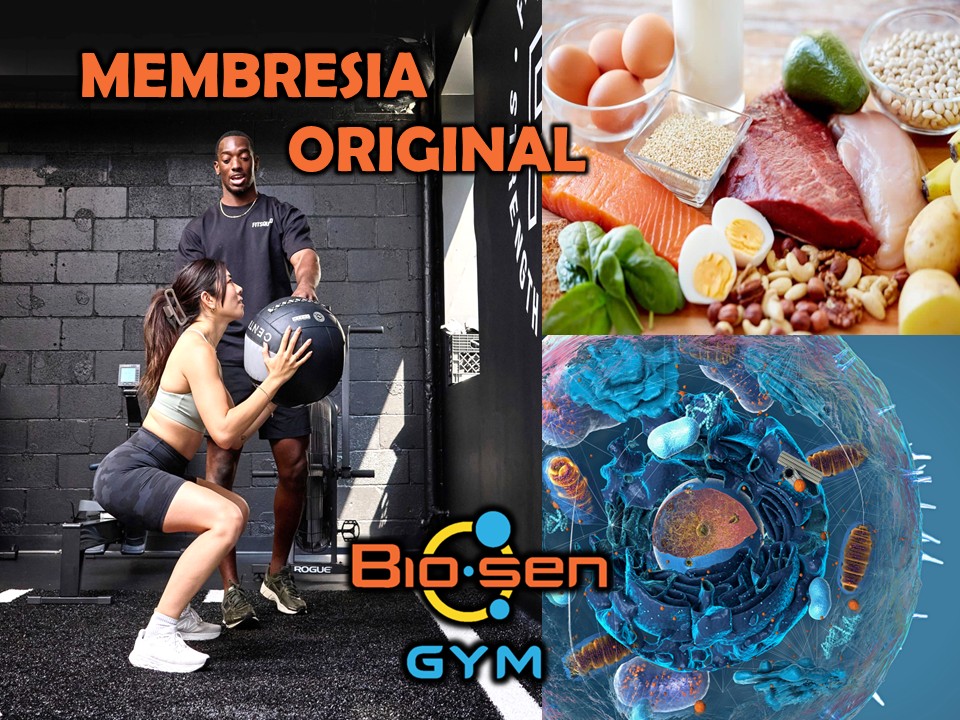 Diapositiva1